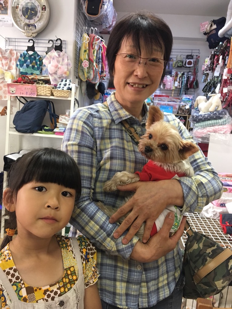【運命の赤い糸見～つけた💓ヨーキーのコリンちゃん💕、アメコカのドリームちゃん💕、ビションのややこちゃん💕】2018,6,17